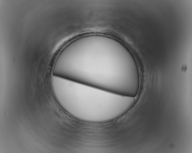 X0000115631214200911101111
