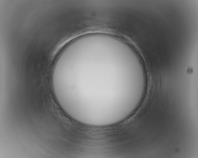 X0000115631215200911101111