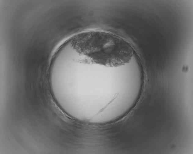 X0000115631216200911101111