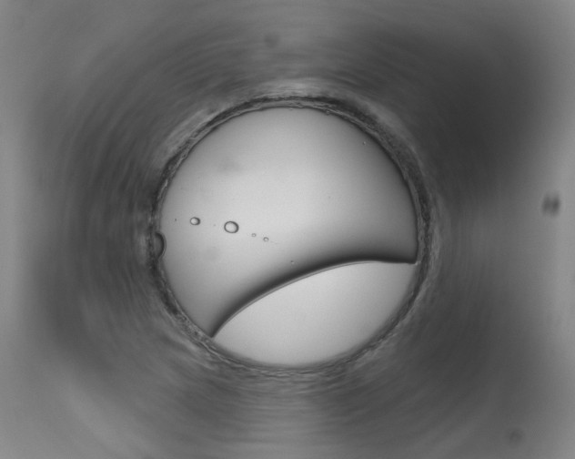 X0000115631217200911101111