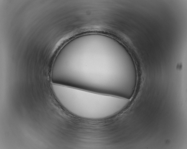 X0000115631218200911101111