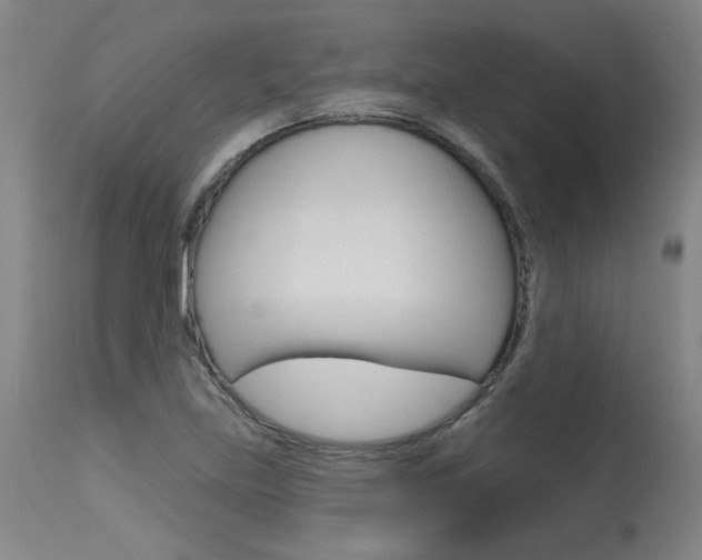 X0000115631219200911101111