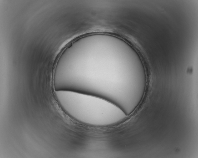 X0000115631220200911101111