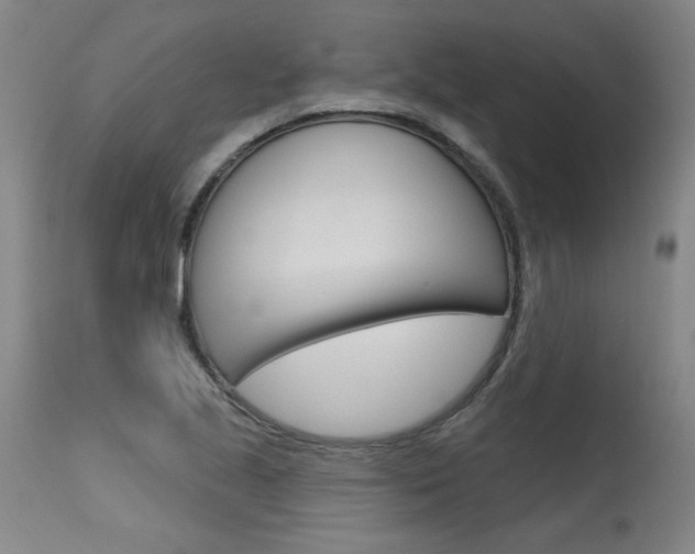 X0000115631221200911101111