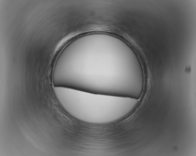 X0000115631222200911101111