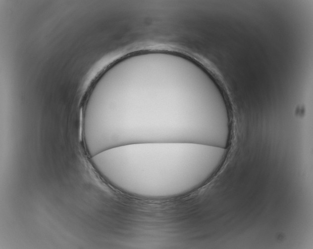 X0000115631223200911101111