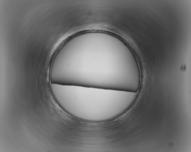 X0000115631224200911101111