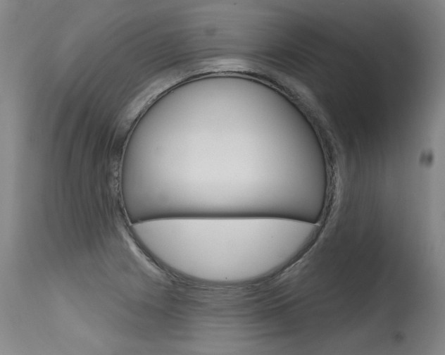 X0000115631225200911101111