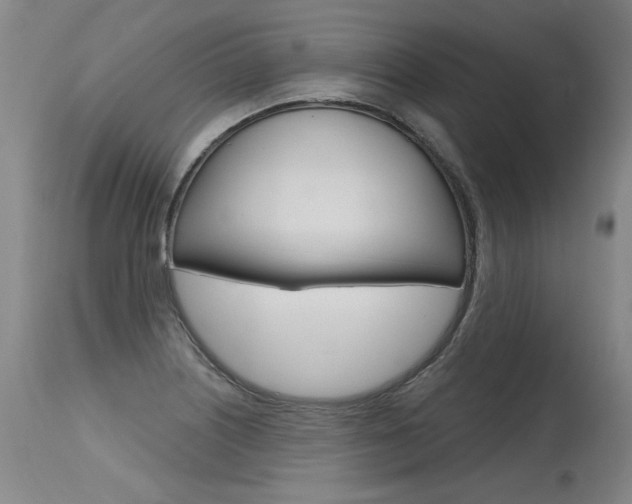 X0000115631226200911101111