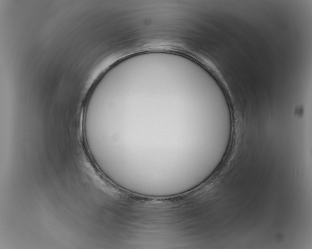 X0000115631227200911101111