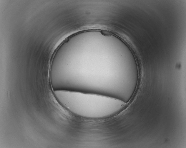 X0000115631228200911101111