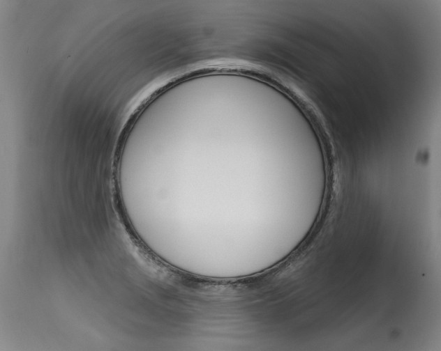 X0000115631229200911101111