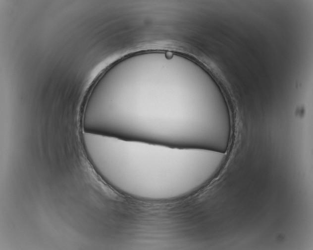 X0000115631230200911101111