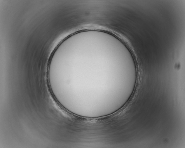 X0000115631231200911101111