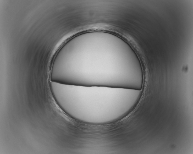 X0000115631232200911101111