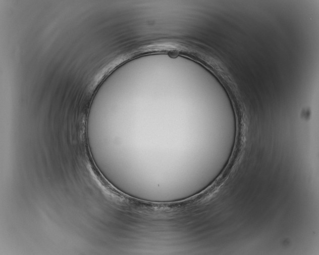 X0000115631233200911101111