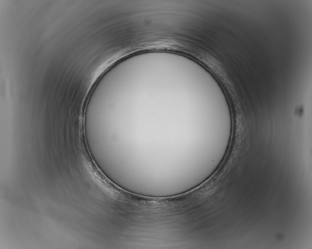 X0000115631234200911101111
