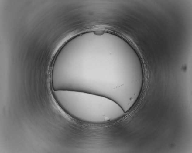 X0000115631235200911101111