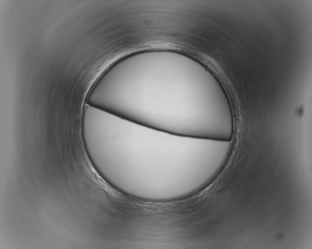 X0000115631236200911101111