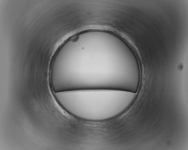 X0000115631237200911101111