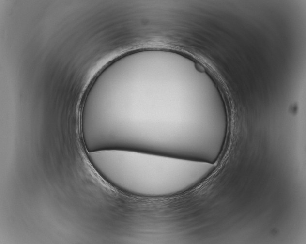 X0000115631238200911101112