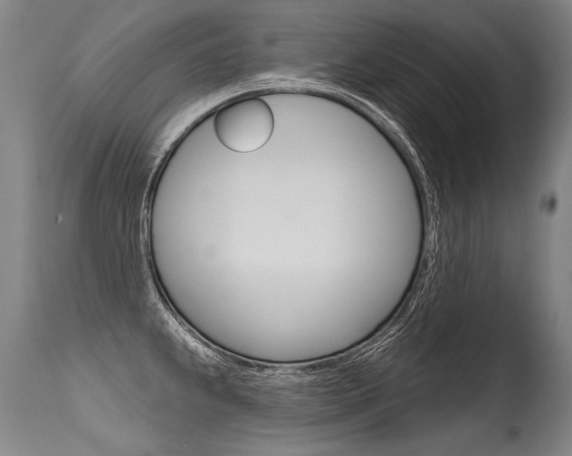 X0000115631239200911101112