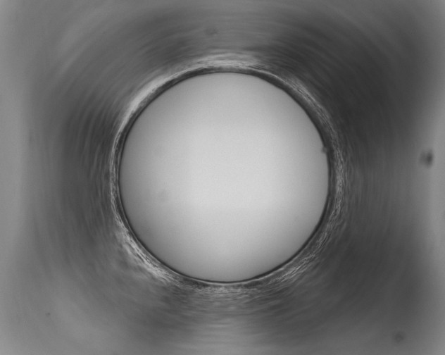 X0000115631240200911101112