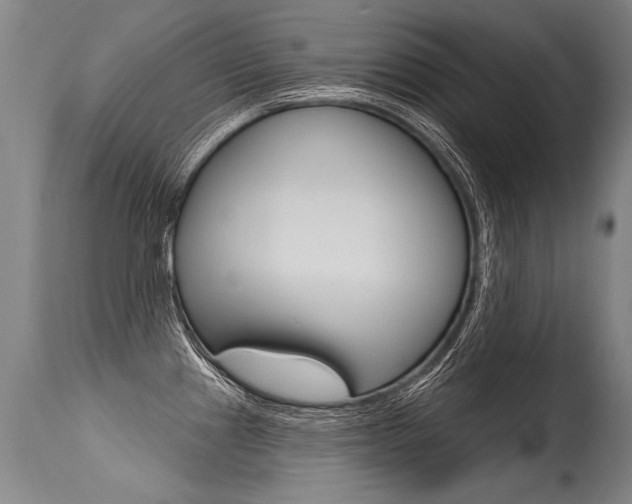 X0000115631241200911101112