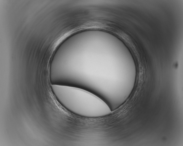 X0000115631242200911101112