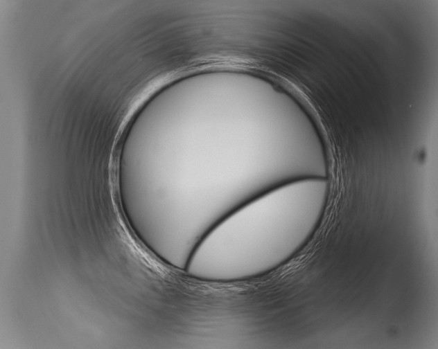 X0000115631243200911101112