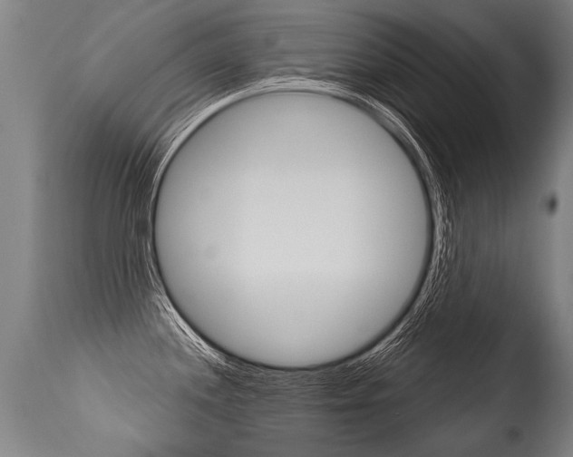 X0000115631244200911101112