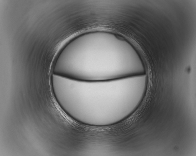 X0000115631246200911101112