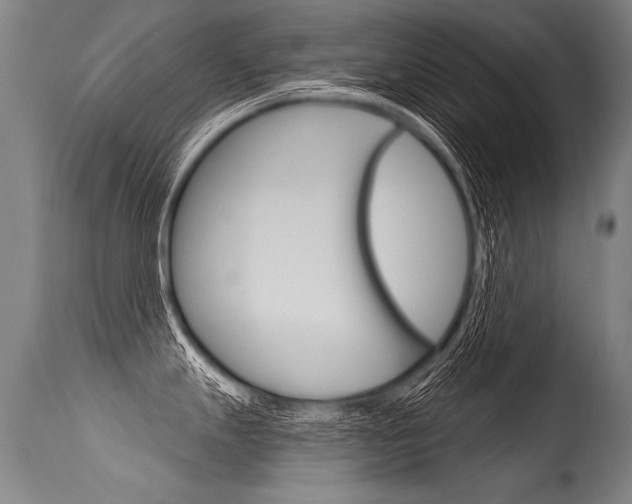 X0000115631247200911101112