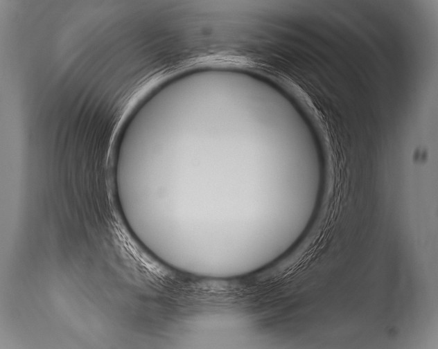 X0000115631248200911101112