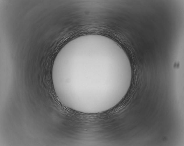 X0000115631249200911101111