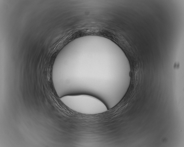 X0000115631250200911101111