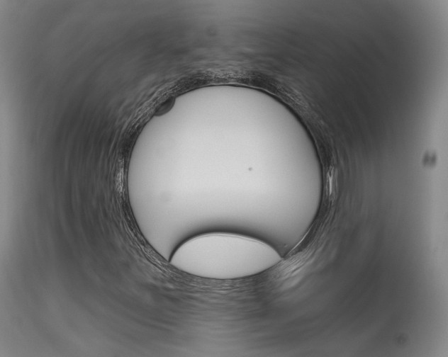 X0000115631251200911101111