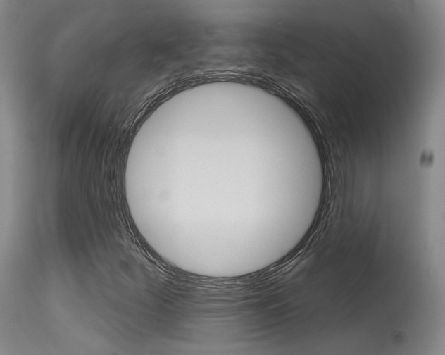 X0000115631252200911101111