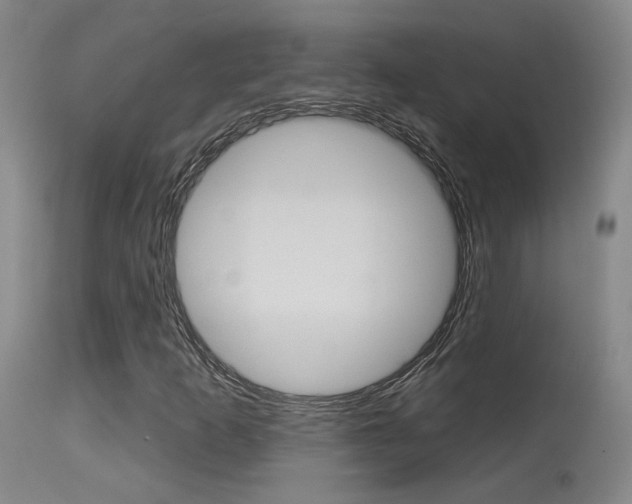 X0000115631253200911101111