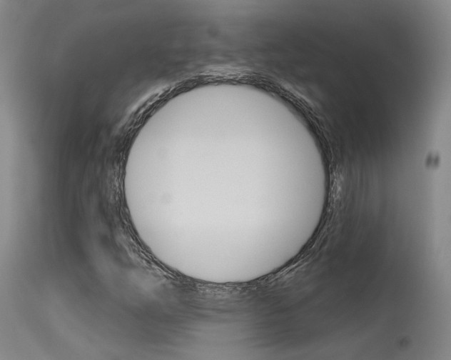 X0000115631254200911101111