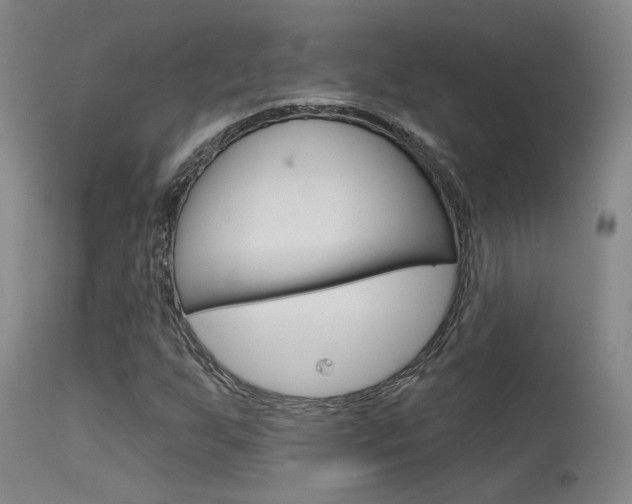 X0000115631255200911101111