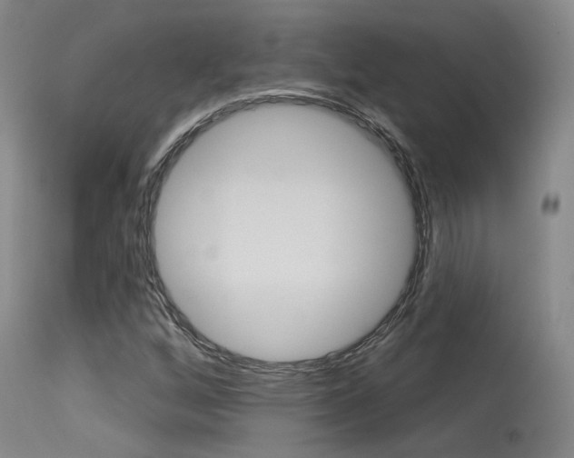 X0000115631256200911101111