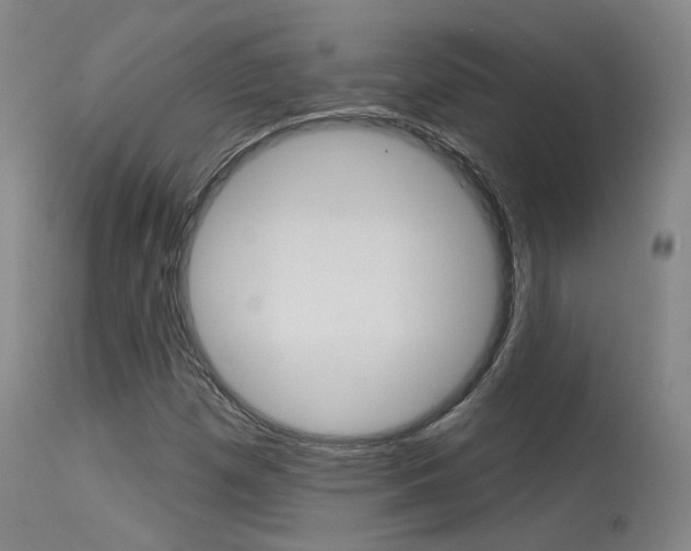 X0000115631257200911101111