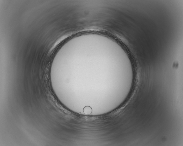X0000115631258200911101111
