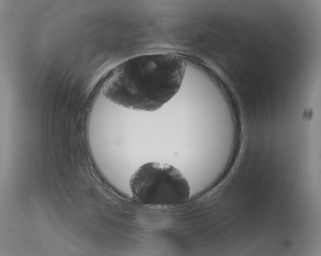 X0000115631259200911101111