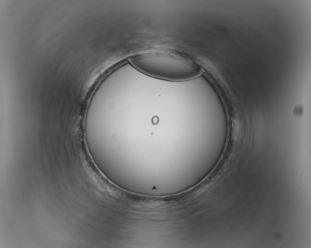 X0000115631260200911101111