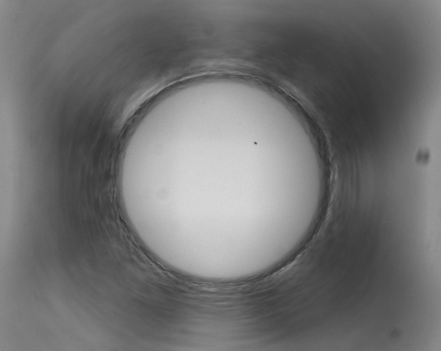 X0000115631261200911101111