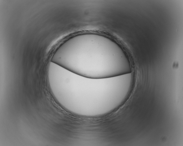 X0000115631262200911101111