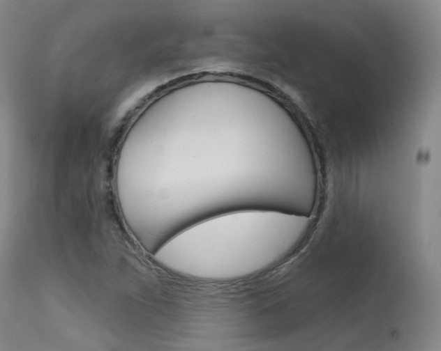 X0000115631263200911101111
