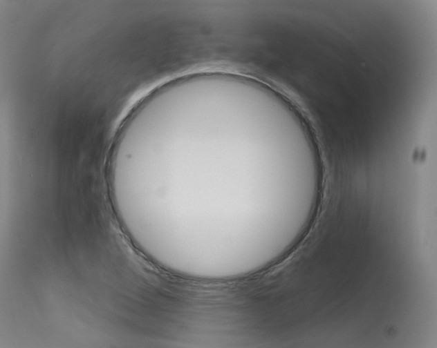 X0000115631264200911101111
